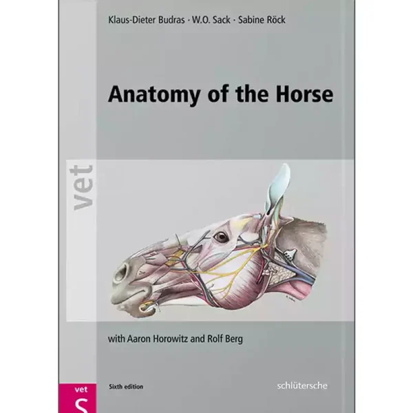 Anatomy of the Horse